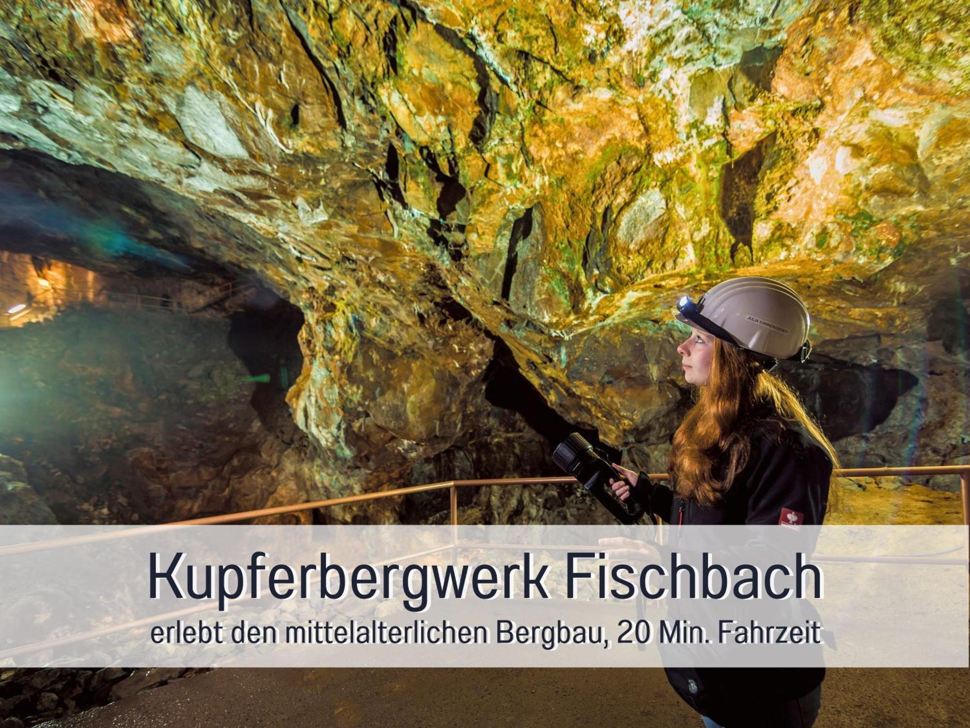 Natur-Chalet Zum Nationalpark Franz Inkl. E-Auto Allenbach Exteriör bild