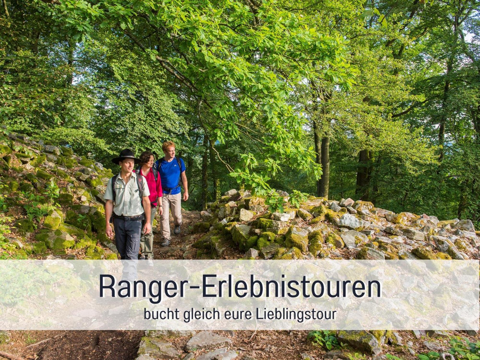 Natur-Chalet Zum Nationalpark Franz Inkl. E-Auto Allenbach Exteriör bild