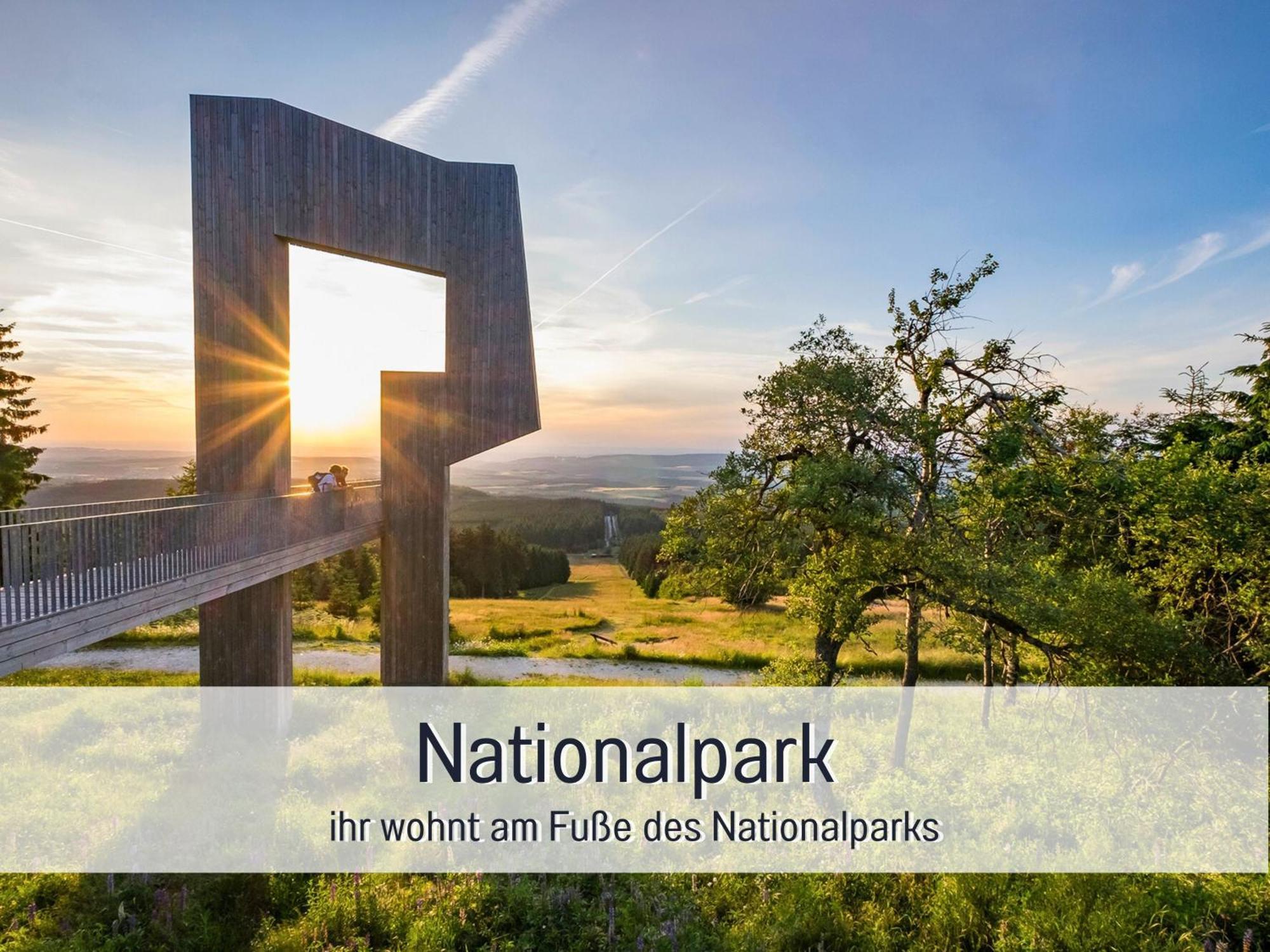 Natur-Chalet Zum Nationalpark Franz Inkl. E-Auto Allenbach Exteriör bild